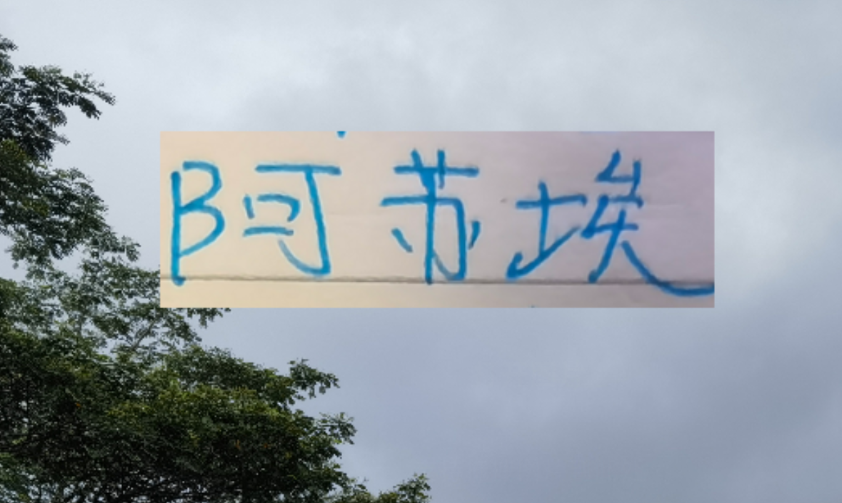 易倍体育登录入口-海港也走捡漏路线了 22岁多哥外援会比24岁申花前锋高级吗
